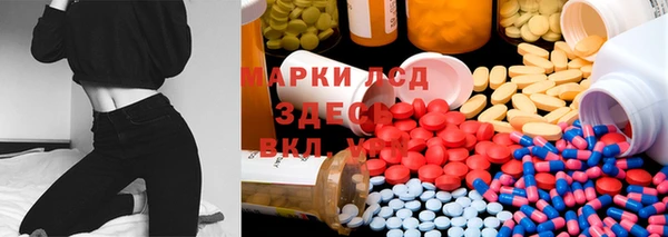 шишки Баксан