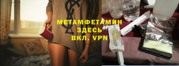 шишки Белокуриха