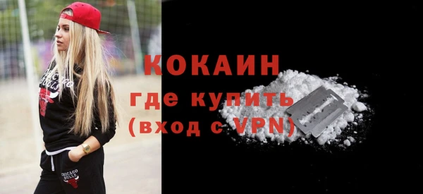шишки Белокуриха
