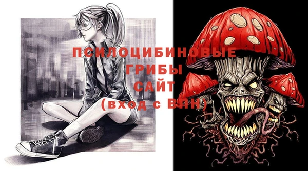 шишки Белокуриха