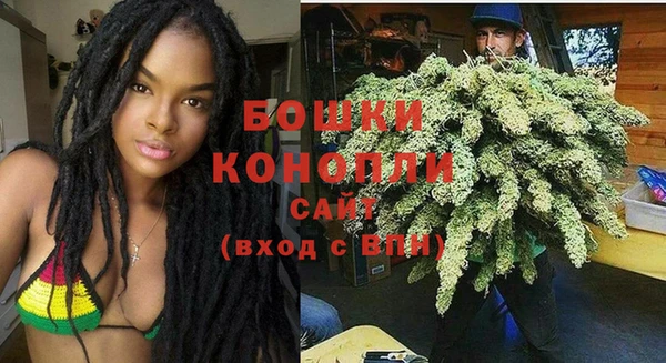 шишки Белокуриха