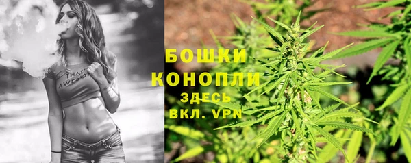шишки Белокуриха