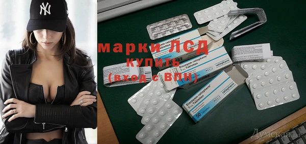 шишки Белокуриха